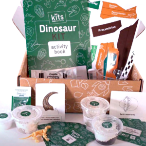 9 Amazing Dinosaur Lunch Box for 2023