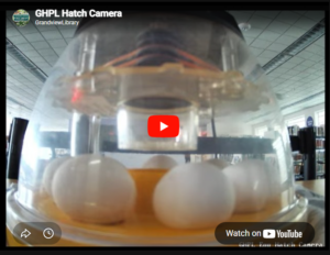 hatch camera thumbail
